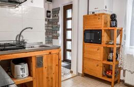 Apartament cu  2 camere, curte, 50 mp | Piața Cipariu, Negociabil