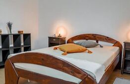 Apartament cu  2 camere, curte, 50 mp | Piața Cipariu, Negociabil
