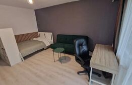 Apartament cochet de închiriat , zona Platinia 