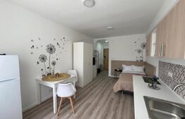 Garsoniera, CHELTUIELI INCLUSE, pet-friendly, zona: Kaufland Marasti