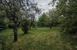 Oportunitate Investitie! Teren intravilan 14000 mp in Cheia