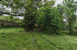 Oportunitate Investitie! Teren intravilan 14000 mp in Cheia