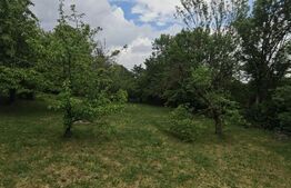 Oportunitate Investitie! Teren intravilan 14000 mp in Cheia