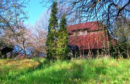 Oportunitate Investitie! Teren intravilan 14000 mp in Cheia