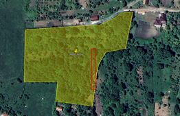 Oportunitate Investitie! Teren intravilan 14000 mp in Cheia