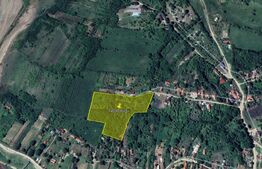 Oportunitate Investitie! Teren intravilan 14000 mp in Cheia