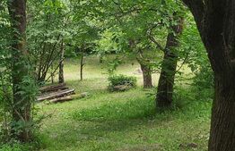 Oportunitate Investitie! Teren intravilan 14000 mp in Cheia