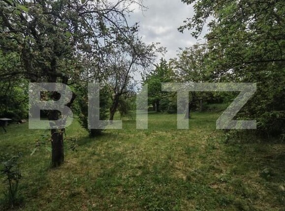 Teren de vânzare Cheia - 194710TV | BLITZ Cluj-Napoca | Poza11