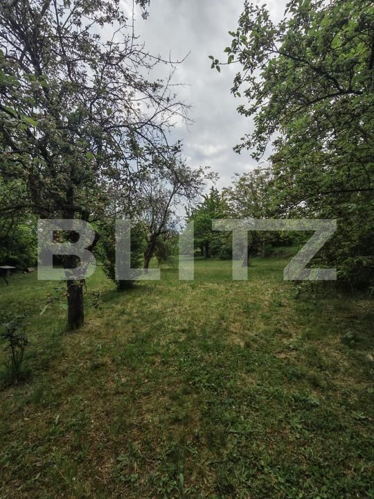 Teren de vânzare Cheia - 194710TV | BLITZ Cluj-Napoca | Poza11
