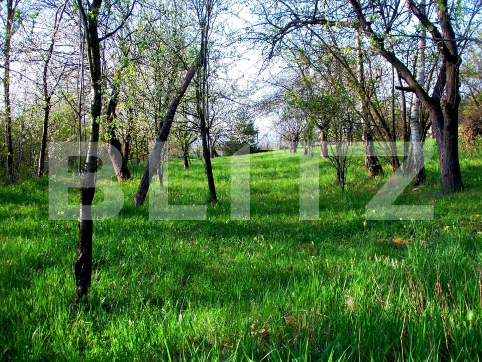 Teren de vânzare Cheia - 194710TV | BLITZ Cluj-Napoca | Poza3