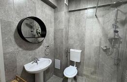 Garsoniera, pet-friendly, zona: Kaufland Marasti