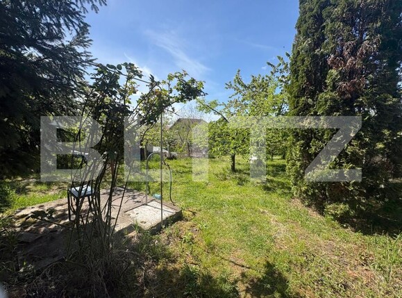 Casa de vânzare 6 camere Apahida - 194721CV | BLITZ Cluj-Napoca | Poza10