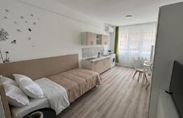 Garsoniera, pet-friendly, zona: Kaufland Marasti
