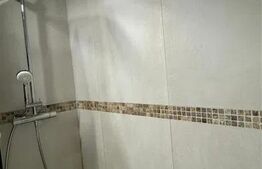 De inchiriat apartament 2 camere decomandate, zona Big Manastur 