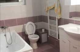 Inchiriere casa cu 110 mp, 110 mp de teren, zona Terra! Mobilat modern!