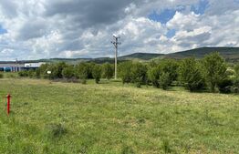 Teren de vanzare 13783mp, front la DN, parcela unica zona de vest
