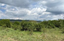 Teren de vanzare 13783mp, front la DN, parcela unica zona de vest
