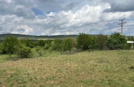 Teren de vanzare 13783mp, front la DN, parcela unica zona de vest