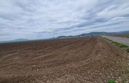 Teren agricol - 18000 mp - Harman - Dn 11 - pretabil agricol si industrial
