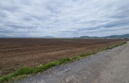 Teren agricol - 18000 mp - Harman - Dn 11 - pretabil agricol si industrial