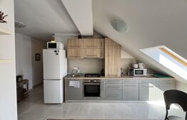 Apartament 2 camere, 46 mp, preluare de chiriasi, zona Mircea Eliade