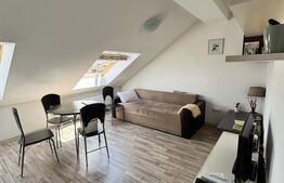 Apartament 2 camere, 46 mp, preluare de chiriasi, zona Mircea Eliade