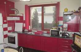 Casa individuala cu 185 mp, 500 mp teren, 2 garaje, zona Florilor!