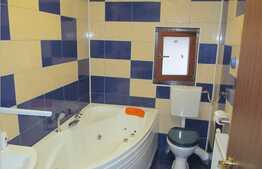 Casa individuala cu 185 mp, 500 mp teren, 2 garaje, zona Florilor!