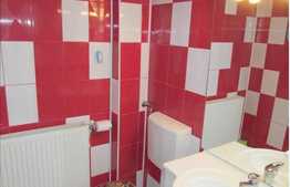 Casa individuala cu 185 mp, 500 mp teren, 2 garaje, zona Florilor!