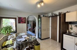 Apartament 3 camere, boxa, pod, zona centrala - Horea 