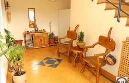 Casa S+P+E+M, 340 mp utili, zona Parcul Babes