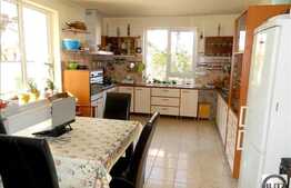 Casa S+P+E+M, 340 mp utili, zona Parcul Babes