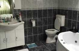 Casa cocheta cu 5 camere, imobil nou, 240 mp, teren 400 mp