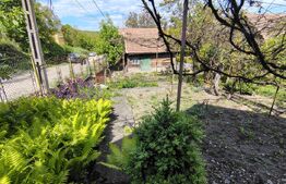 EXCLUSIVITATE! Casă tradițională cu teren 1513 mp, cu anexe, în Cojocna