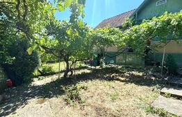 EXCLUSIVITATE! Casă tradițională cu teren 1513 mp, cu anexe, în Cojocna