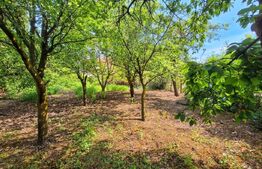 Casa individuala Iris, 770 mp teren, 110 mp utili, zona Rivus