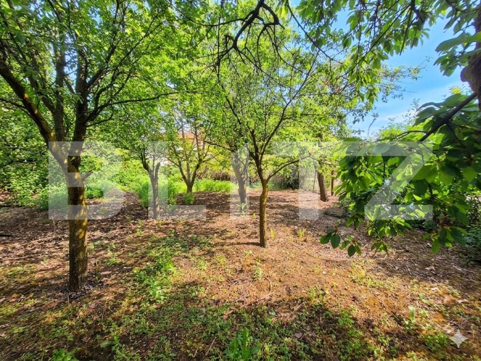 Casa de vânzare 4 camere Iris - 195039CV | BLITZ Cluj-Napoca | Poza5