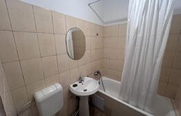 Garsonieră Ultracentrală - PETFRIENDLY - Centrală Proprie