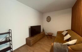 Apartament o camera, 45 mp, parcare, zona Stejarului 