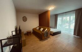 Apartament o camera, 45 mp, parcare, zona Stejarului 