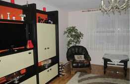 Vanzare casa individuala cu 300 mp, 650 mp de teren, zona Muzeul Apei!