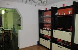 Vanzare casa individuala cu 300 mp, 650 mp de teren, zona Muzeul Apei!