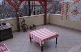 Vanzare casa individuala cu 300 mp, 650 mp de teren, zona Muzeul Apei!