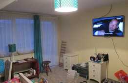 Vanzare casa individuala cu 300 mp, 650 mp de teren, zona Muzeul Apei!