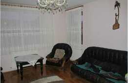 Vanzare casa individuala cu 300 mp, 650 mp de teren, zona Muzeul Apei!