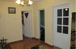 Vanzare casa individuala cu 300 mp, 650 mp de teren, zona Muzeul Apei!