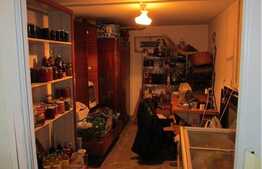 Vanzare casa individuala cu 300 mp, 650 mp de teren, zona Muzeul Apei!