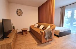 Apartament cu 1/2 camere renovat complet, modern, Stejarului