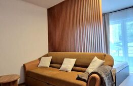 Apartament cu 1/2 camere renovat complet, modern, Stejarului
