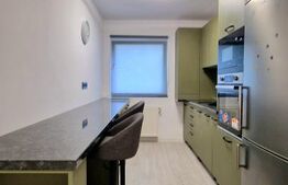 Apartament cu 1/2 camere renovat complet, modern, Stejarului